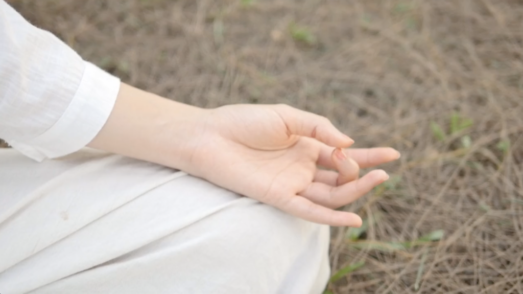 Mindful Meditation